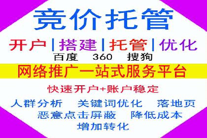 某行业SEM投放效果显著案例分享